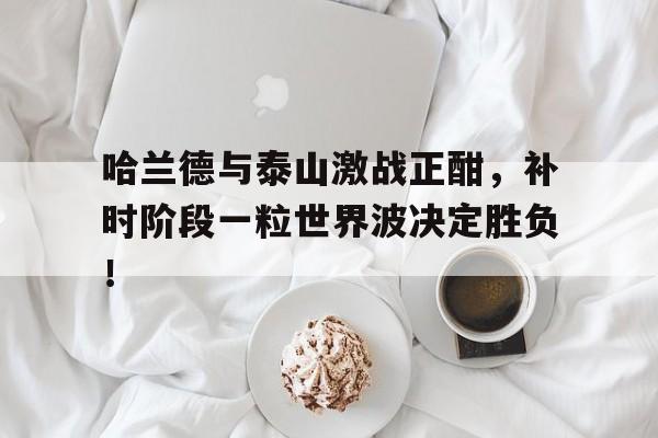 哈兰德与泰山激战正酣，补时阶段一粒世界波决定胜负！